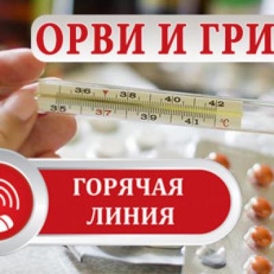 Роспотребнадзор запустил горячую линию по профилактике гриппа и ОРВИ