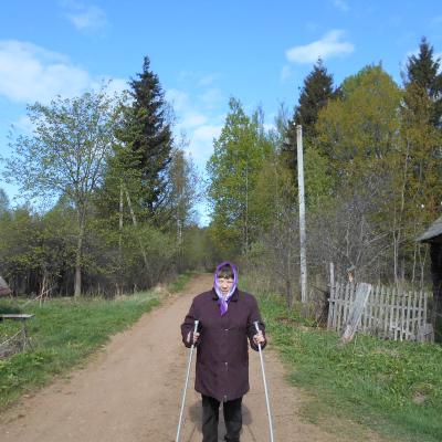 «Скандинавская ходьба»