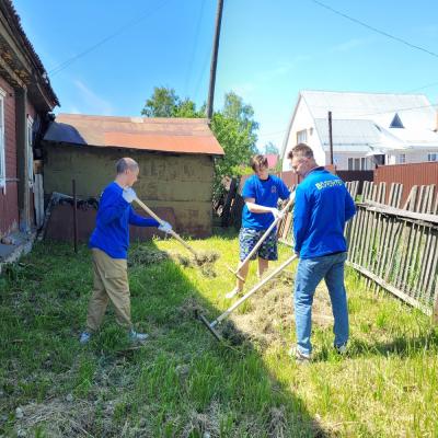 Волонтерская помощь
