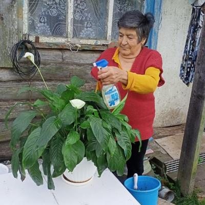 Занятие гарденотерапией