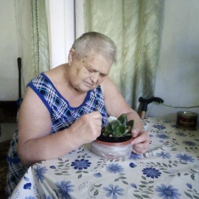 Фиалка