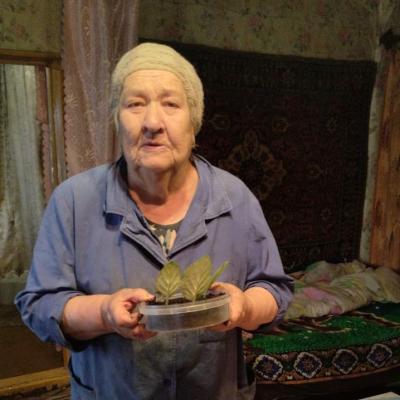 Занятие гарденотерапией