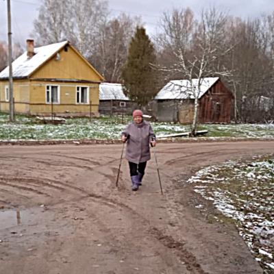 Ноябрьская скандинавская ходьба