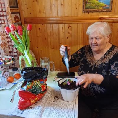 Гарденотерапия: цветы как лекарство для души