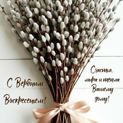 Верба добра