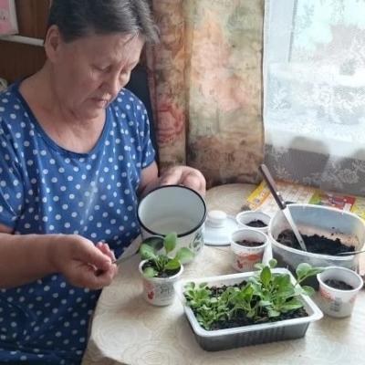 Занятия по гарденотерапии.