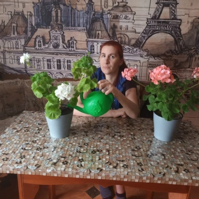 Пеларгония